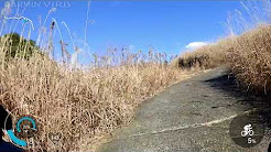 つくば激坂巡り その3山口激坂