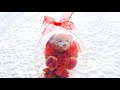 How To Make Balloon With Teddy Bear Inside