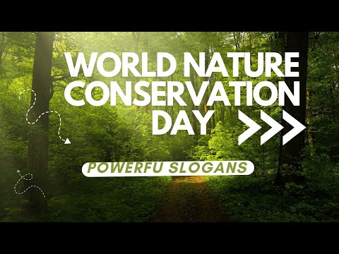 Vídeo: Para o slogan de conservação da vida selvagem?