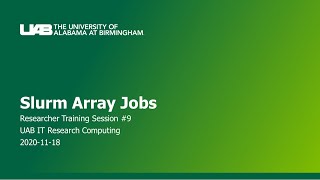 Slurm Array Jobs [TRAIN-11-2020] Profile