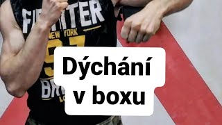 Box: detailní vysvětlení dýchání při boxu.