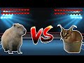 Capybara vs floppa meme battle