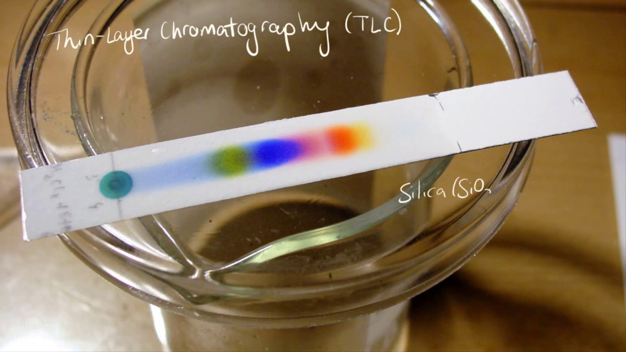 ⁣Chromatography 2 | Intermolecular Forces | meriSTEM