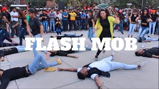 THE DANCE MAFIA | FLASH MOB 2017 | CHANDIGARH SEC 17 | Ripanpreet sidhu