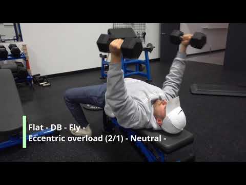 Flat - DB - Fly - Eccentric overload (2/1) - Neutral -