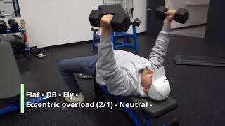 Flat - DB - Fly - Eccentric overload (2/1) - Neutral -