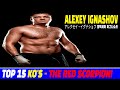 Alexey ignashov  top 15 brutal knockouts  tribute100kg
