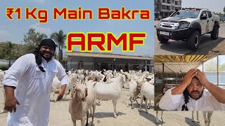 Biggest Dhamaka 2024 | Rehman Mistry | Sojat Super Quality | Directions Of Farm.
