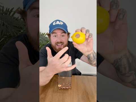 Penny On Lemon Trick