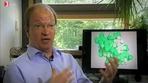 Grid-Computing und POEM@HOME