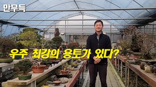 137. 우주 최강의 분재 용토가 있다?