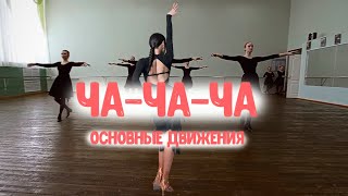 Ча-ча-ча. Основные движения.