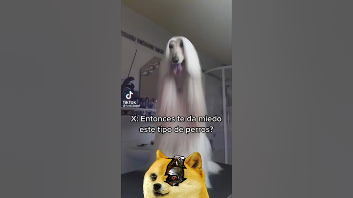 TE DAN MIEDO LOS PERROS que ACTÚAN como HUMANOS!? #shorts