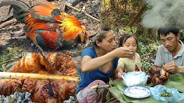 hunting ยามกับดักไก่ป่าได้ตัวผู้ไหย่มาก15 4 2022