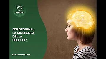 Come funziona la serotonina?