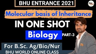 Molecular basis of inheritance In One Shot | Part-03 | Biology | Bhu B.Sc. Ag/Bio/Nur Entrance 2021