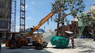 Twins Tree transplantation in Chennai |peepal tree transplantation |Big peepal tree relocation  |