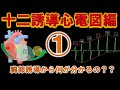 研修医、循環器看護師必見！十二誘導心電図の基礎①「胸部誘導から何が分かるの？？」