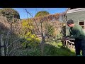 Starting on Trying to Tidy up My Garden!