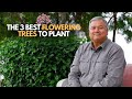 3 best flowering trees to plant
