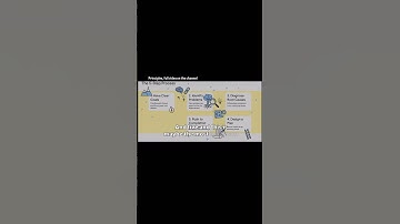 Principles, full video on the channel #principles