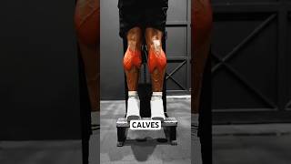 Leg Workout Gym Training