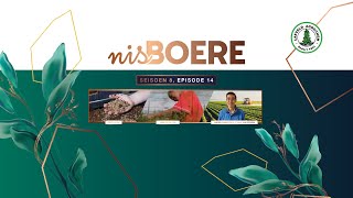 Nisboere 8 Episode 14