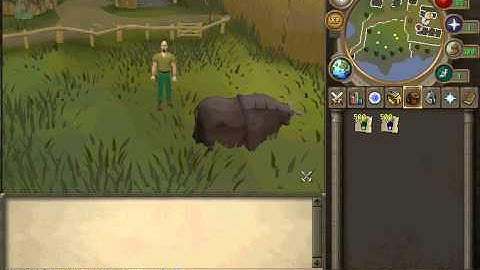 How to dupe on a rsps 317 without Cheat Engine