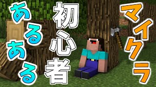 マインクラフト 初心者あるある【マイクラあるある】【Minecraft】