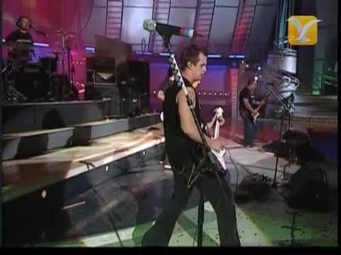 Molotov - Frijolero - Festival de Viña del Mar 2004