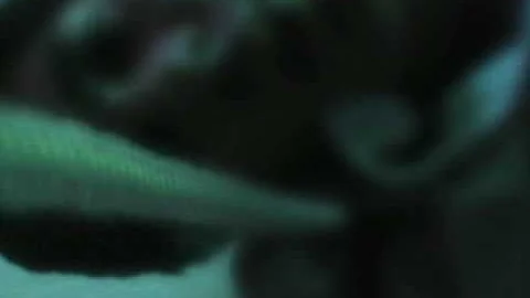 65daysofstatic MUSIC VIDEO - 'Drove Through Ghosts To Get Here'