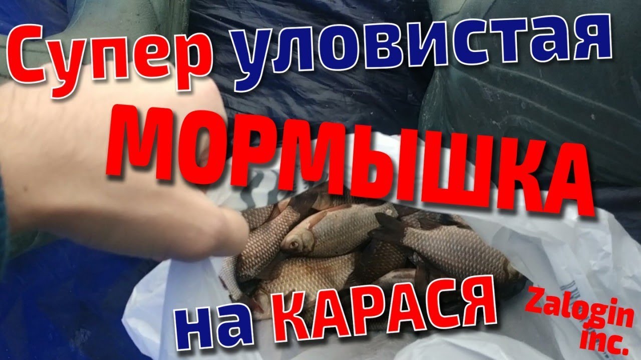 Клев на оке