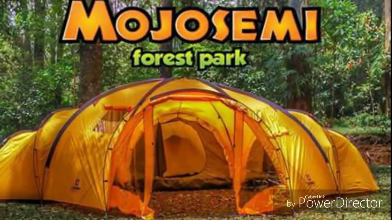 Wahana Wisata Mojosemi Forest Park Magetan Jawa Timur Youtube