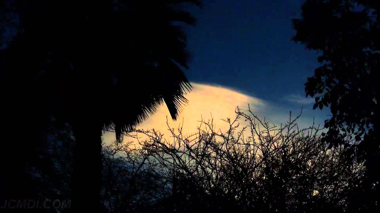 Semi-hidden lenticular forming behind trees sunset timelapse 1080p V08793