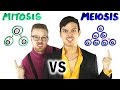 Mitosis vs Meiosis Rap Battle! | SCIENCE SONGS