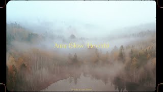 vesky, Liam Thomas - Aura (Slowed   Reverb)