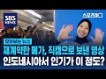 JungKwanJang Re-signed with Indonesia Megawati 재계약한 메가, 직캠으로 보낸 영상 / 스머 위클리 / SBS / 모아보는 뉴스