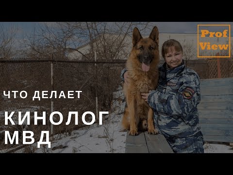 Кинолог МВД