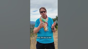 VMware by Broadcom - Teil 108: Direkte Abrechnung für nicht konforme CSPs?