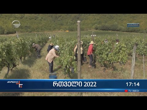 ქრონიკა 17:00 საათზე - 11 სექტემბერი, 2022 წელი