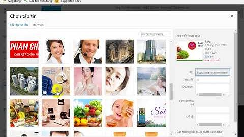 source-code-website-ban-hang-thuc-pham-hoa-qua-cac-loai-day-tinh-nang-toi-uu-seo-20453.htm