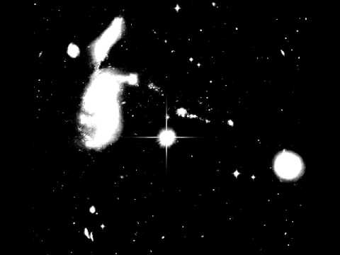 Lascowiec - III