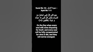 Surat No 16 : سورة النحل - Ayat No 111 #surahnahl #quranayat #shortvideo @quranpeaceofmind