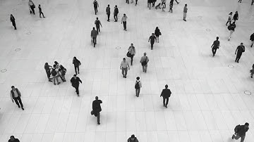 top 5 best jobs for introverts