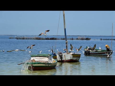 بين مد سيطرة الذكور وجزر تغير المناخ تونسيات يمارسن مهنة الصيد