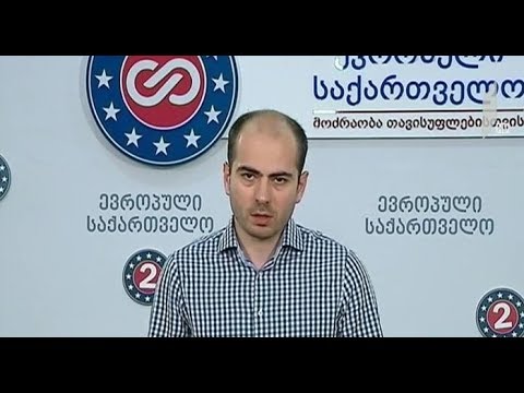 „ევროპული საქართველო“ „რაინეართან“ ხელშეკრულების გაფორმებას ითხოვს