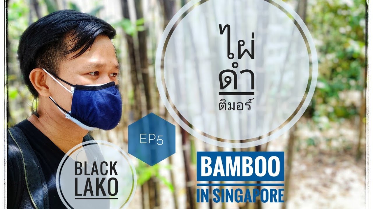 พาไปดูไผ่ดำติมอร์สวยๆที่สิงคโปร์ EP4 || สวนไผ่แทนคุณ