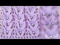 غرزة أكاليل الورد أو الفراشة لعمل بطانية لبيبي سكارف للبنات بالكروشيه الدرس 6 Crochet Stitch 