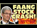 Faang stocks crash 