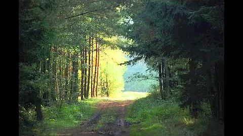 Why did Henry David Thoreau go to live in the woods?